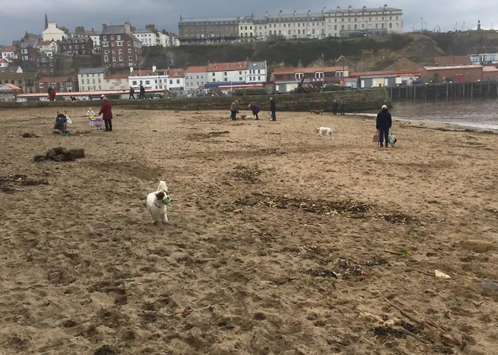 Harbour Penthouse Whitby