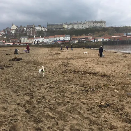 Harbour Penthouse Whitby